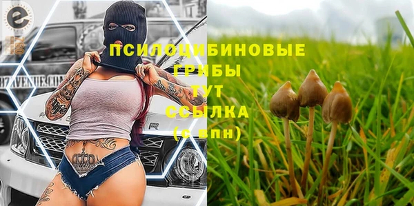сатива Балабаново