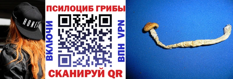 Псилоцибиновые грибы Cubensis Подпорожье